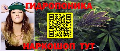 a pvp Кунгур